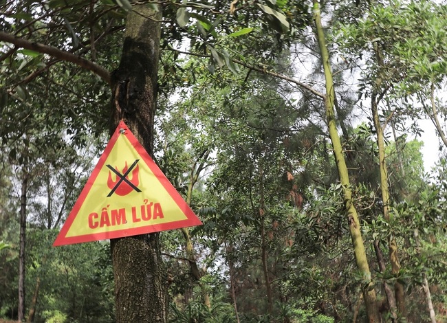 Ủy ban nhân dân tỉnh triển khai kế hoạch Phòng cháy, chữa cháy rừng năm 2023