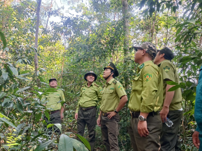 HẠT KIỂM LÂM HUYỆN SƠN TÂY PHỐI HỢP TUẦN TRA BẢO VỆ RỪNG VÙNG GIÁP RANH