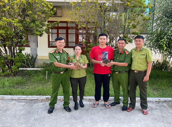 Hạt Kiểm lâm khu vực XVI tiếp nhận 02 cá thể Rùa quý, hiếm do người dân tự nguyện giao nộp