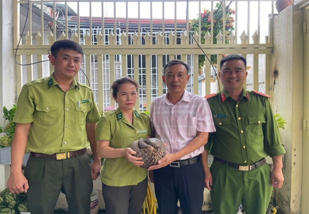 Phát hiện, cứu hộ thành công một cá thể Tê tê Java