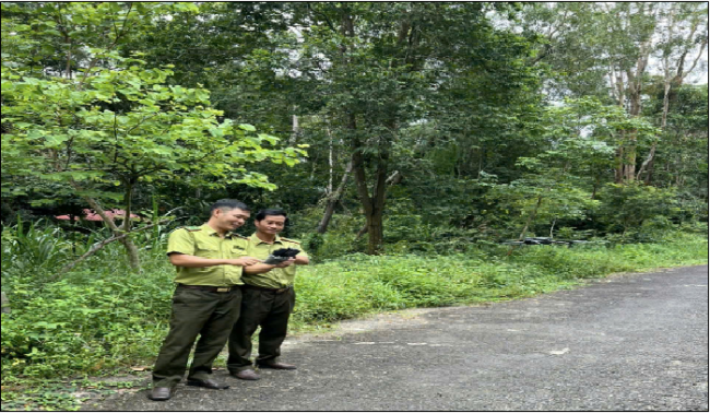 Ứng dụng khoa học công nghệ, chuyển đổi số trong công tác quản lý, bảo vệ và phát triển rừng tại cơ sở