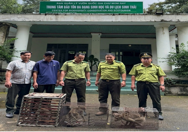 Tiếp nhận 03 cá thể Khỉ, chuyển giao cho Trung tâm Bảo tồn đa dạng sinh học và Du lịch sinh thái