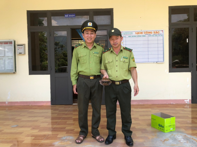 Người dân tự nguyện giao nộp cá thể Rùa sa nhân nhóm IIB thuộc loài nguy cấp, quý, hiếm.